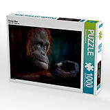 Orang Utan (Puzzle) Spiel