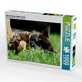 CALVENDO Puzzle Schwarz braune Katze im Gras | 1000 Teile Lege-Größe 64x48cm Foto-Puzzle für glückliche Stunden Spiel