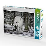 CALVENDO Puzzle John der weißer Wolf | 1000 Teile Lege-Größe 64x48cm Foto-Puzzle für glückliche Stunden Spiel