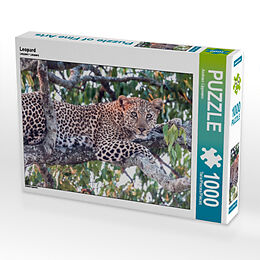 Leopard (Puzzle) Spiel