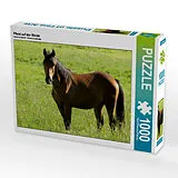 CALVENDO Puzzle Pferd auf der Weide 1000 Teile Puzzle quer | 1000 Teile Lege-Größe 64 × 48 cm Foto-Puzzle für glückliche Stunden Spiel