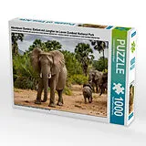 CALVENDO Puzzle Abenteuer Sambia: Elefant mit Jungtier im Lower Zambezi National Park | 1000 Teile Lege-Größe 64x48cm Foto-Puzzle für glückliche Stunden Spiel
