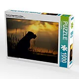 CALVENDO Puzzle Hund im Gegenlicht am Meer 1000 Teile Puzzle quer | 1000 Teile Lege-Größe 64 × 48 cm Foto-Puzzle für glückliche Stunden Spiel