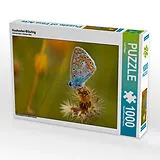 CALVENDO Puzzle Hauhechel-Bläuling | 1000 Teile Lege-Größe 64x48cm Foto-Puzzle für glückliche Stunden Spiel