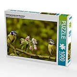 CALVENDO Puzzle Frühlingsmelodie der Blaumeise | 1000 Teile Lege-Größe 64x48cm Foto-Puzzle für glückliche Stunden Spiel