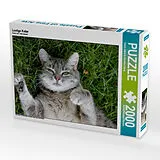 CALVENDO Puzzle Lustige Katze | 2000 Teile Lege-Größe 90x67cm Foto-Puzzle für glückliche Stunden Spiel