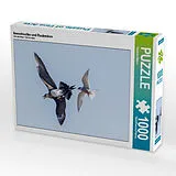 CALVENDO Puzzle Seeschwalbe und Raubmöwe 1000 Teile Puzzle quer | 1000 Teile Lege-Größe 64 × 48 cm Foto-Puzzle für glückliche Stunden Spiel