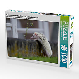 Afrikanischer Weißbauchigel - auf Entdeckungstour (Puzzle) Spiel