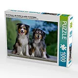 CALVENDO Puzzle Ice & Chessy - die Tochter so schön wie die Mutter | 1000 Teile Lege-Größe 64x48cm Foto-Puzzle für glückliche Stunden Spiel
