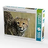 CALVENDO Puzzle Ein Motiv aus dem Kalender Geparden - Afrikas grazile Katzen | 1000 Teile Lege-Größe 64x48cm Foto-Puzzle für glückliche Stunden Spiel