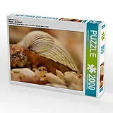 CALVENDO Puzzle Ein Motiv aus dem Kalender Natur - im Detail | 2000 Teile Lege-Größe 90x67cm Foto-Puzzle für glückliche Stunden Spiel