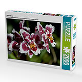 Orchideen (Puzzle) Spiel