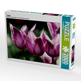 Tulpen (Puzzle) Spiel