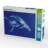 CALVENDO Puzzle Stolze Buckelwal Mutter 1000 Teile Puzzle hoch | 1000 Teile Lege-Größe 64 × 48 cm Foto-Puzzle für glückliche Stunden Spiel