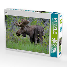 CALVENDO Puzzle Wellensittich-Küken 1000 Teile – Fotopuzzle 64 X 48 Cm Von Björn Bergmann