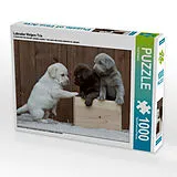CALVENDO Puzzle Labrador Welpen Trio | 1000 Teile Lege-Größe 64x48cm Foto-Puzzle für glückliche Stunden Spiel