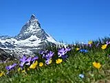 Matterhorn - 1.000 Teile (Puzzle) Spiel