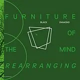 Black Diamond Vinyl Furniture Of The Mind Rearranging