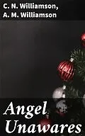 E-Book (epub) Angel Unawares von C. N. Williamson, A. M. Williamson