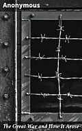 E-Book (epub) The Great War and How It Arose von Anonymous