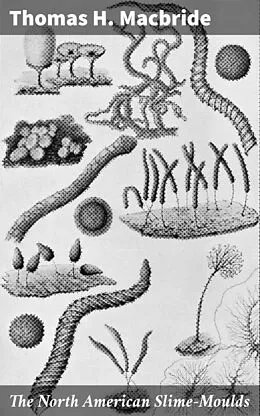 E-Book (epub) The North American Slime-Moulds von Thomas H. Macbride