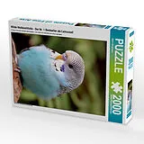 CALVENDO Puzzle Wilde Wellensittiche - Der Nr. 1 Bestseller als Leinwand! | 2000 Teile Lege-Größe 90x67cm Foto-Puzzle für glückliche Stunden Spiel