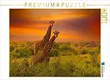 CALVENDO Puzzle Giraffen in Kenia | 1000 Teile Lege-Größe 64x48cm Foto-Puzzle für glückliche Stunden Spiel