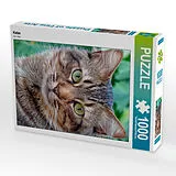 CALVENDO Puzzle Katze | 1000 Teile Lege-Größe 64x48cm Foto-Puzzle für glückliche Stunden Spiel