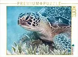 CALVENDO Puzzle Rotes Meer Ägypten | 1000 Teile Lege-Größe 64x48cm Foto-Puzzle für glückliche Stunden Spiel