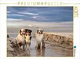 CALVENDO Puzzle Ein Motiv aus dem Kalender Australian Shepherd 2022 | 1000 Teile Lege-Größe 64x48cm Foto-Puzzle für glückliche Stunden Spiel
