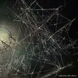 Arionce LP (analog) Arionce-calls From Afar Shores (lp)