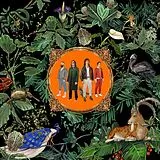 Don Broco LP (analog) Amazing Things