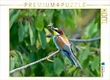 CALVENDO Puzzle Der Bienenfresser - Ein Motiv aus dem Kalender Unsere Vogelvielfalt: Ein Schatz zum Entdecken und Schützen) | 1000 Teile Lege-Größe 64x48cm Foto-Puzzle für glückliche Stunden Spiel