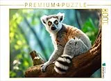 CALVENDO Puzzle Katta Lemur | 1000 Teile Lege-Größe 64x48cm Foto-Puzzle für glückliche Stunden Spiel
