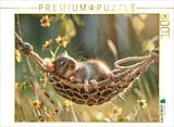 CALVENDO Puzzle Mäusehängematte | 1000 Teile Lege-Größe 64x48cm Foto-Puzzle für glückliche Stunden Spiel