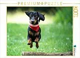 CALVENDO Puzzle Der fliegende Dackel | 1000 Teile Lege-Größe 64x48cm Foto-Puzzle für glückliche Stunden Spiel