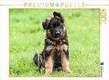 CALVENDO Puzzle Schäferhund - Welpe Hündin | 2000 Teile Lege-Größe 90x67cm Foto-Puzzle für glückliche Stunden Spiel
