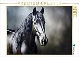 CALVENDO Puzzle Ein Motiv aus dem Kalender "Only Black" | 2000 Teile Lege-Größe 90x67cm Foto-Puzzle für glückliche Stunden Spiel