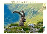 CALVENDO Puzzle Der König der Alpen | 1000 Teile Lege-Größe 64x48cm Foto-Puzzle für glückliche Stunden Spiel