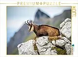 CALVENDO Puzzle Gämse | 1000 Teile Lege-Größe 64x48cm Foto-Puzzle für glückliche Stunden Spiel