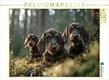 CALVENDO Puzzle Ist das vielleicht ein Dachsbau | 1000 Teile Lege-Größe 64x48cm Foto-Puzzle für glückliche Stunden Spiel