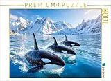 CALVENDO Puzzle Orca-Parade im Polarmeer | 1000 Teile Lege-Größe 64x48cm Foto-Puzzle für glückliche Stunden Spiel