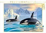 CALVENDO Puzzle Zwei, die die Welt erkunden | 1000 Teile Lege-Größe 64x48cm Foto-Puzzle für glückliche Stunden Spiel
