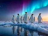 CALVENDO Puzzle Pinguin Wanderung im Schein des Polarlichts | 1000 Teile Lege-Größe 64x48cm Foto-Puzzle für glückliche Stunden Spiel