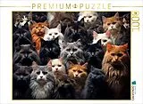 CALVENDO Puzzle Viele Katzen auf einem Bild | 1000 Teile Lege-Größe 64x48cm Foto-Puzzle für glückliche Stunden Spiel