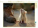 CALVENDO Puzzle Niedliche Haustier Ratte schaut zu ihrem Menschen | 1000 Teile Lege-Größe 64x48cm Foto-Puzzle für glückliche Stunden Spiel