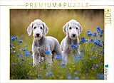 CALVENDO Puzzle Bedlington Terrier Welpen | 1000 Teile Lege-Größe 64x48cm Foto-Puzzle für glückliche Stunden Spiel