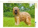 CALVENDO Puzzle Eine wahre Schönheit - Briard | 2000 Teile Lege-Größe 90x67cm Foto-Puzzle für glückliche Stunden Spiel