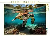 CALVENDO Puzzle Meeresschildkröte unter Wasser | 1000 Teile Lege-Größe 64x48cm Foto-Puzzle für glückliche Stunden Spiel