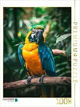 CALVENDO Puzzle Papagei | 1000 Teile Lege-Größe 64x48cm Foto-Puzzle für glückliche Stunden Spiel